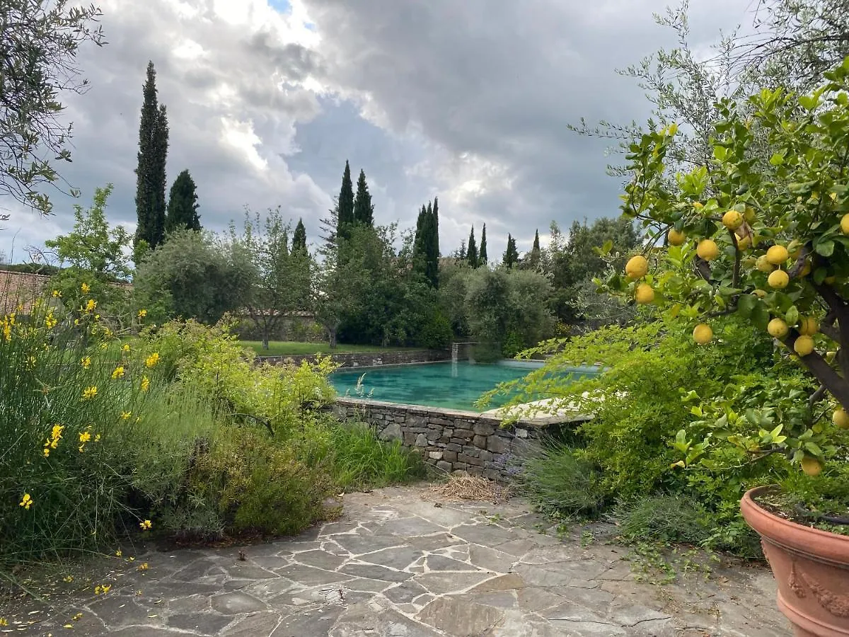 Fattoria Casamora - Villa La Nocciolina Pian Di Sco