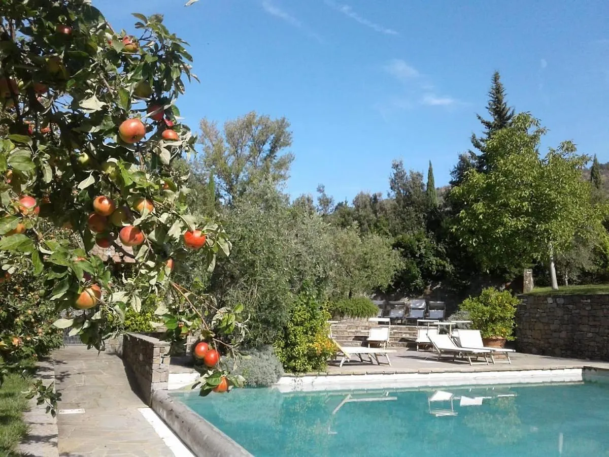 Fattoria Casamora - Villa La Nocciolina Pian Di Sco Italy